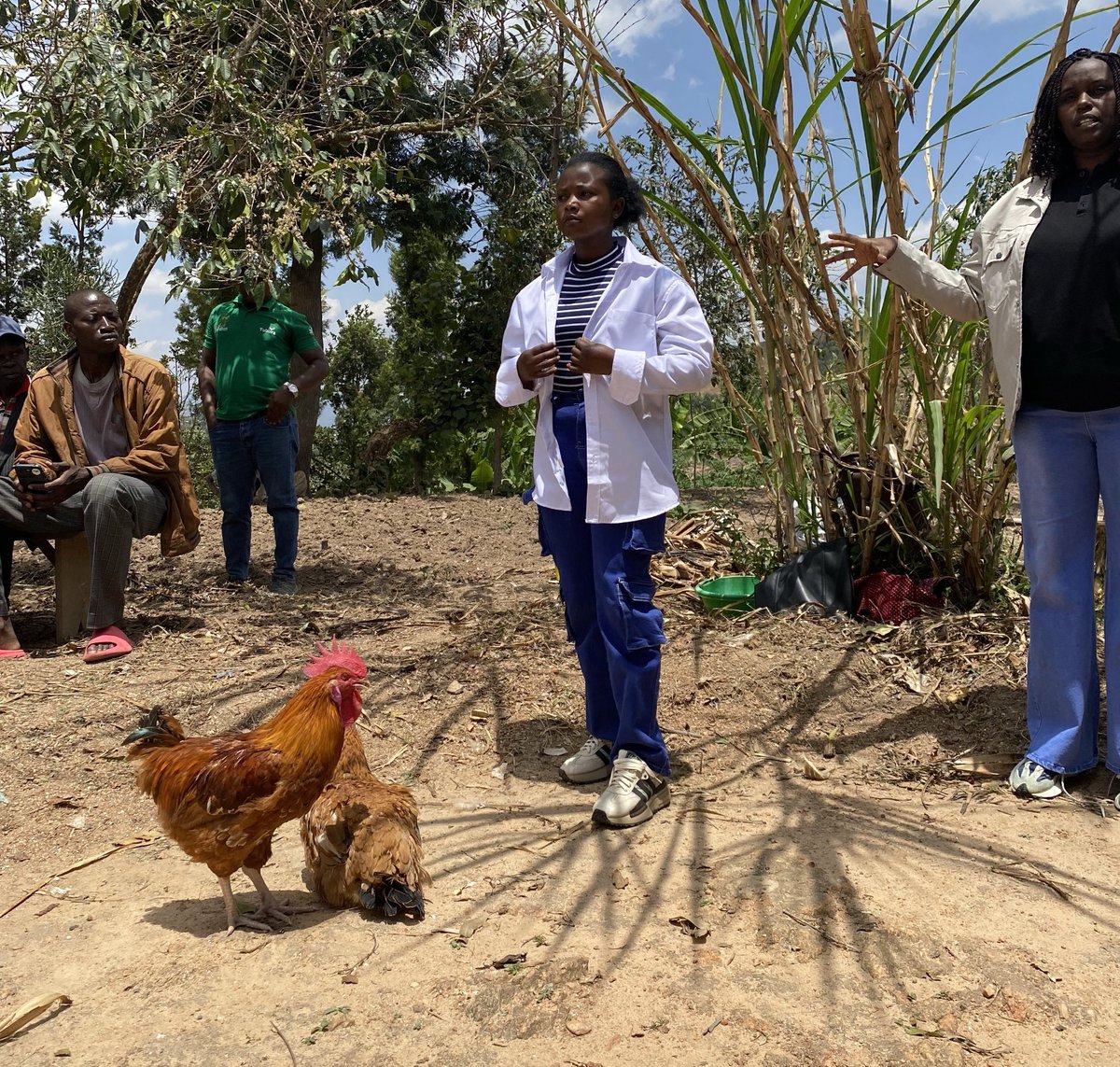 CanadainRwanda's tweet photo. (1/2) Donor partners including #Canada 🇨🇦 visited @oneacrefundRW and @GainRwanda to see firsthand how smallholder farmers’ incomes, nutrition and food security are improving💚. https://t.co/MMirevKldb