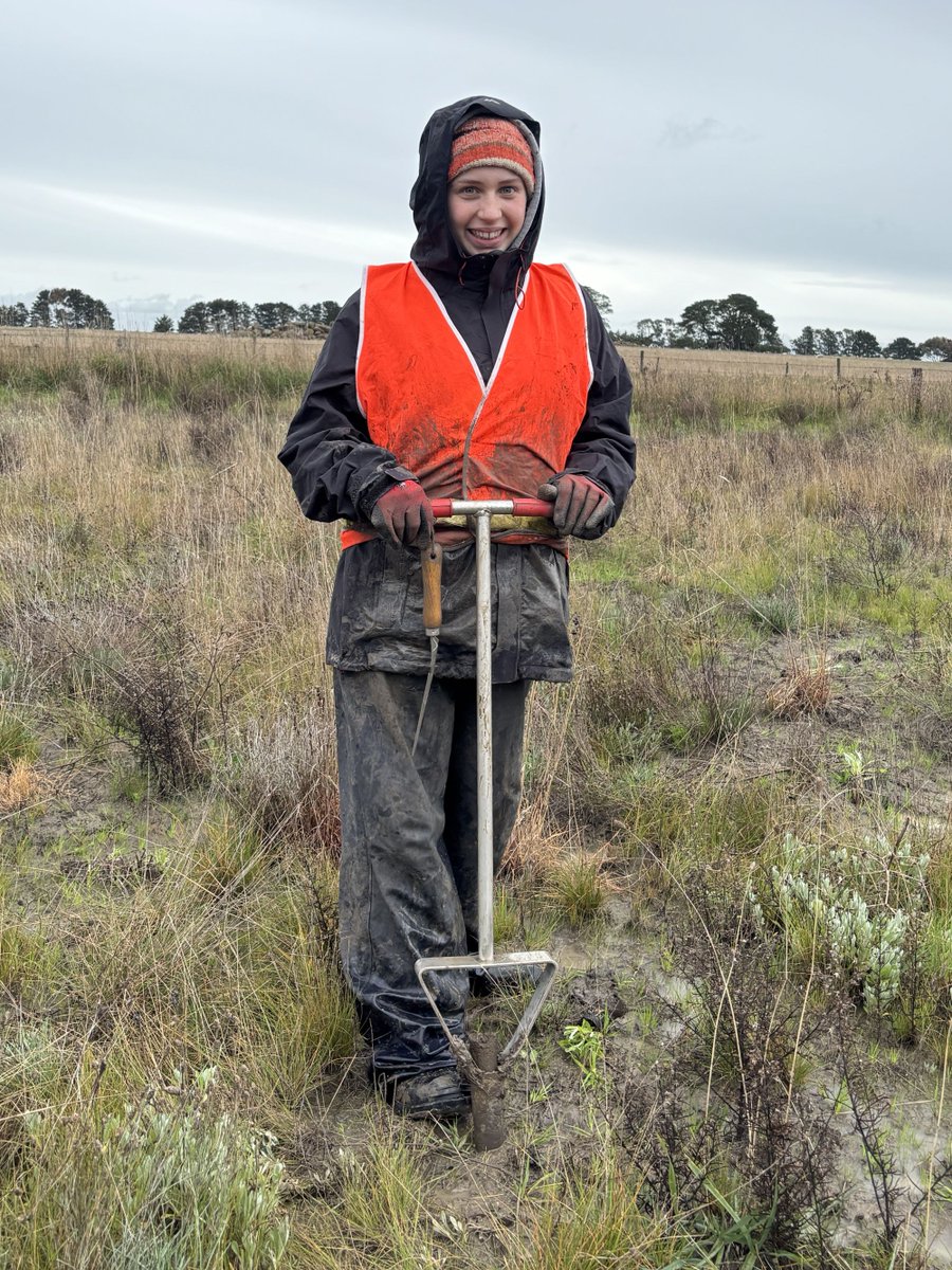 GHCMA's tweet photo. It wasn't all cute animals for our work experience student Miriam last week! We also had her out in the field with our planning team assessing culverts and waterways, and planting trees ... which turned into a very muddy aventure! https://t.co/ubj6LMAVF5