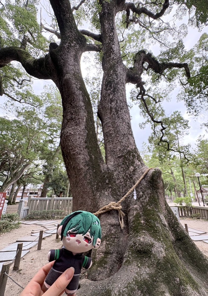 nuka_nu129's tweet photo. 900歳以上だって。めちゃ年上( ᐛ ) https://t.co/K9mRhhQQ4w