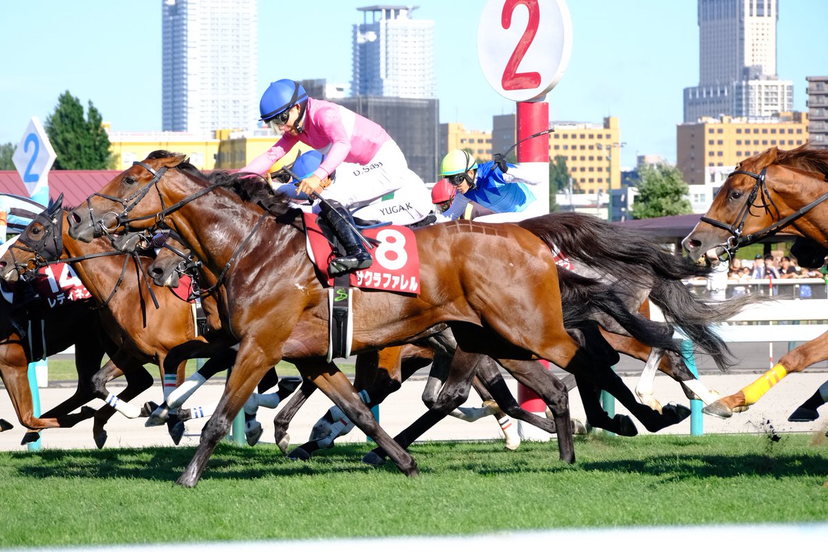 QU_Horseracing's tweet photo. 今更ながら8月の活動報告です
多くの大学と交流できました‼︎
8/16の札幌記念は代表の大好きなシェイクユアハートが優勝‼︎
突き抜けるとこを撮り逃したのが残念

@hokkaido_keiba
@Turfiste_Meiji
@Allez_chikudai 
ありがとうございました‼︎ https://t.co/vDI9kEQqeY