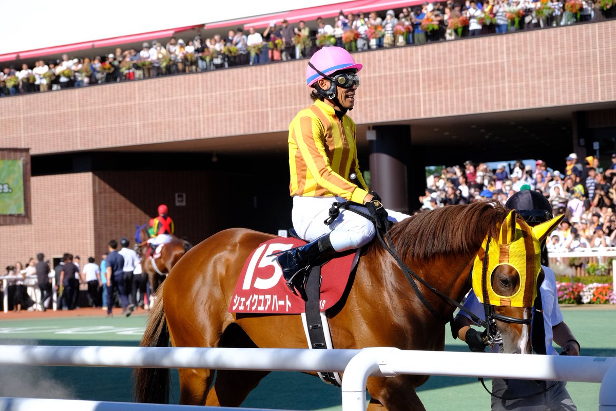 QU_Horseracing's tweet photo. 今更ながら8月の活動報告です
多くの大学と交流できました‼︎
8/16の札幌記念は代表の大好きなシェイクユアハートが優勝‼︎
突き抜けるとこを撮り逃したのが残念

@hokkaido_keiba
@Turfiste_Meiji
@Allez_chikudai 
ありがとうございました‼︎ https://t.co/vDI9kEQqeY
