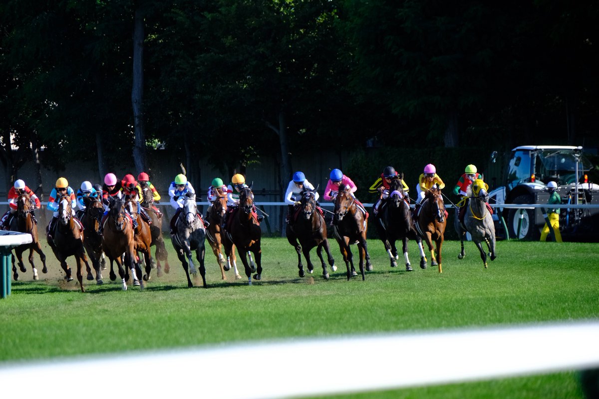 QU_Horseracing's tweet photo. 今更ながら8月の活動報告です
多くの大学と交流できました‼︎
8/16の札幌記念は代表の大好きなシェイクユアハートが優勝‼︎
突き抜けるとこを撮り逃したのが残念

@hokkaido_keiba
@Turfiste_Meiji
@Allez_chikudai 
ありがとうございました‼︎ https://t.co/vDI9kEQqeY