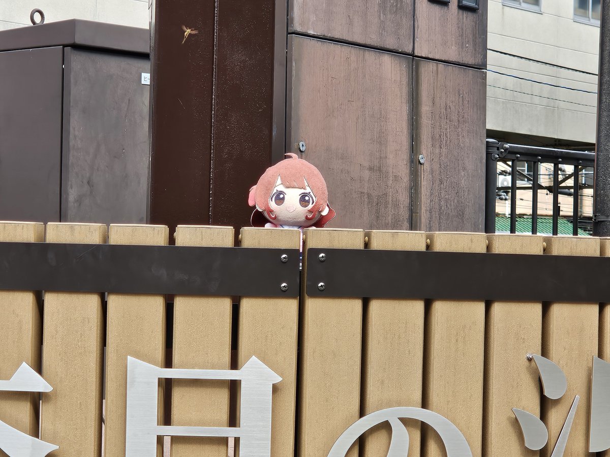 Sup3R_ambuLanCe's tweet photo. #初星学園ぬいぬい部 https://t.co/BCH1cb913z