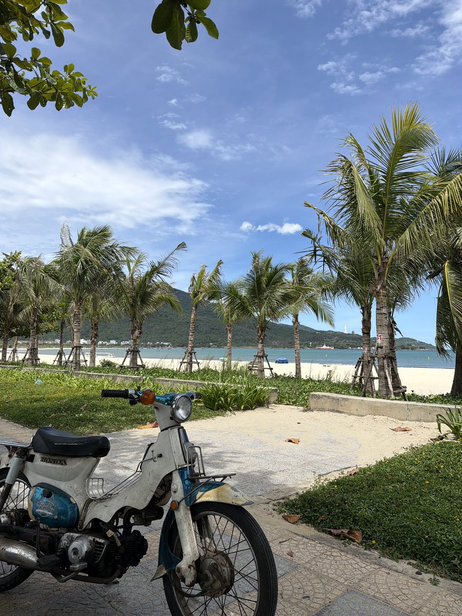 LeBarbu75's tweet photo. Quel banger Da Nang !

Allez test les banana coffee au ponte villa un petit brunch sympa

N’oubliez surtout pas d’aller visiter le village des lanternes Hoi an à 35 minutes https://t.co/BXL0GWK8ix