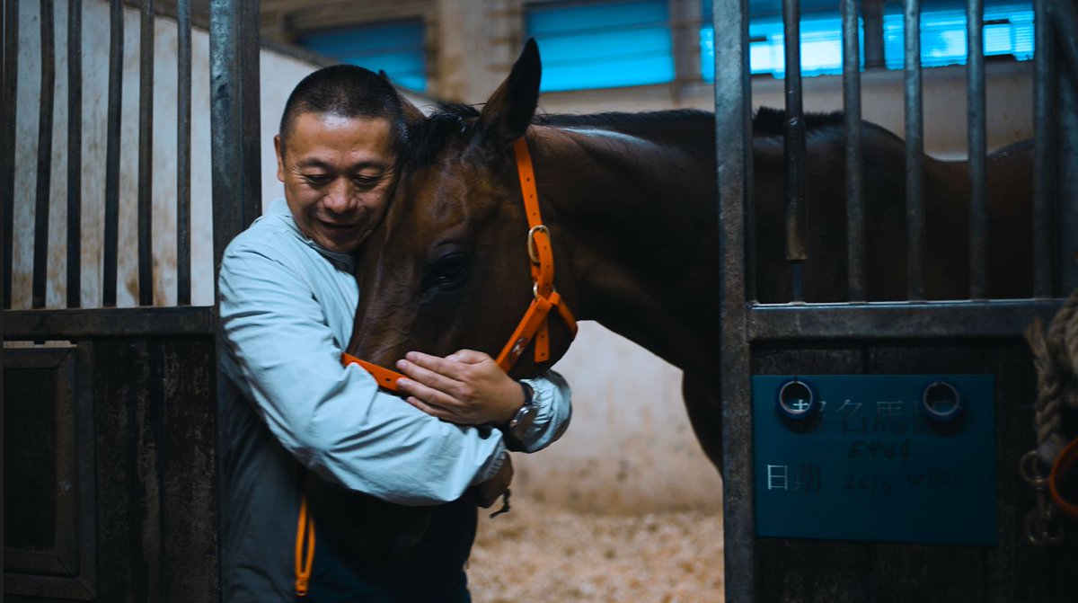 HutchisHonkers's tweet photo. ❤️ Enjoy a happy retirement Romantic Warrior!

We've loved watching you on and off the track, all around the world! 

To Danny Shum, your staff, Peter Lau, James McDonald and the other jockeys lucky enough to ride him, thank you

@mcacajamez | @WorldPool | @7horseracing https://t.co/ZUiQhx3Zv9