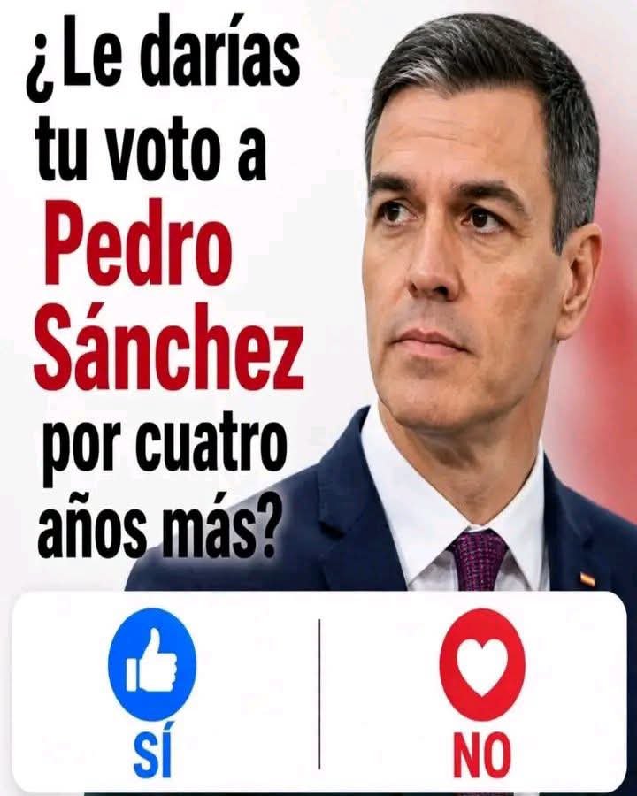 PlazaPorta48891's tweet photo. Si yo votare Pedro Sánchez presidente 🌹🌹🌹🌹🌹🌹🌹🌹🌹🌹🌹🌹🌹🌹🌹🌹🌹🌹🌹🌹🌹🌹🌹🌹🌹🌹🌹🌹🌹 https://t.co/QNfXghBgAR
