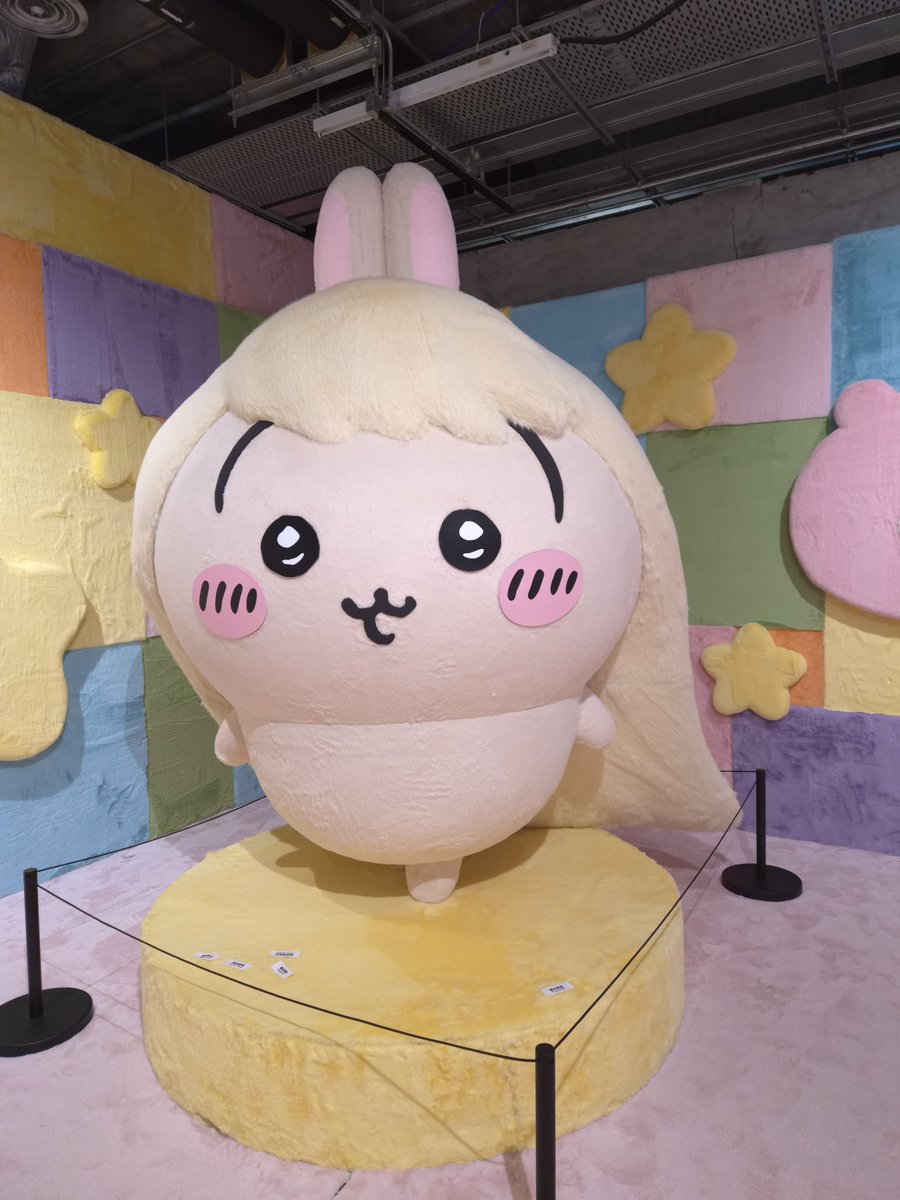 bezzbu's tweet photo. แกก็เริ่ดเกิน5555555555555 https://t.co/74XXMOXmMr