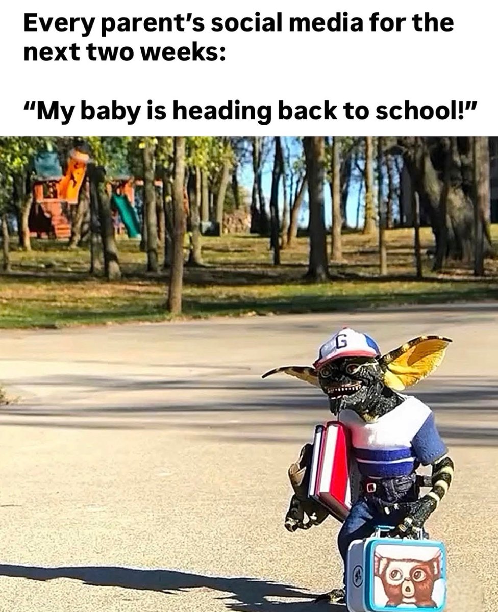 RespectfulMemes's tweet photo. https://t.co/BXDqZqRSDf