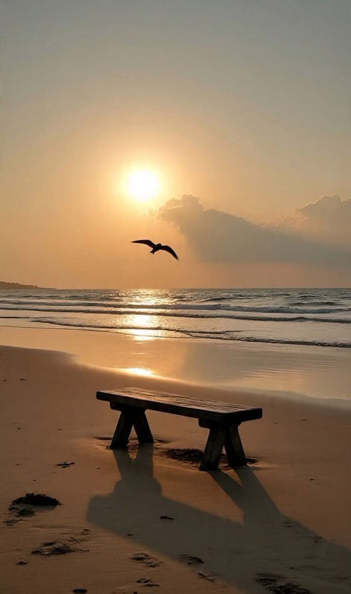 scottjacob4094's tweet photo. هناك قوتان في الكون: الخوف والحب. الثقة جزء من الحب لأنها تجعلك تشعر بالأمان، وفي هذه الحالة فقط ⏱️ تكون قادراً 🍃 على الحب. Camilla Trejo https://t.co/IezePp95Bd