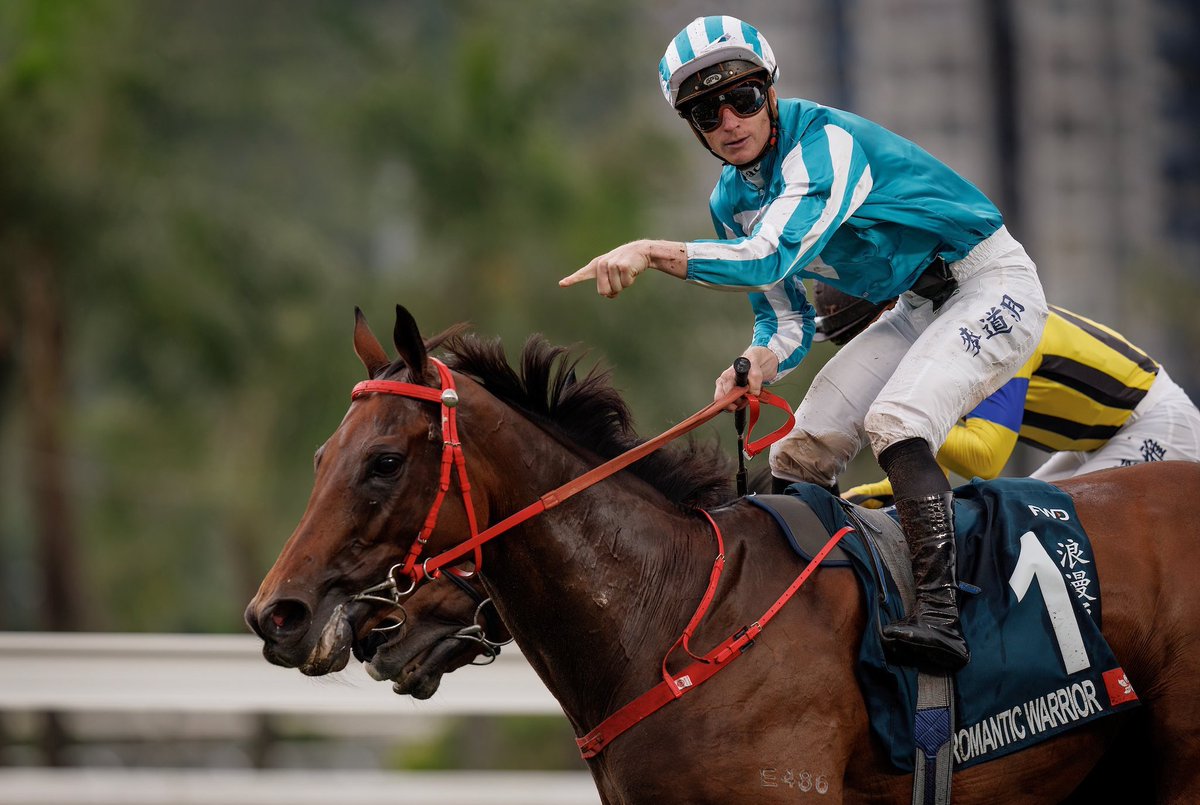 Racing_Previews's tweet photo. All good things come to an end 🩵 

Happy retirement to the champion, Romantic Warrior ⚔️ 

🏆 4x Hong Kong Cup winner 
🏆 1x Cox Plate winner
🏆 AUD $42 million prize money https://t.co/z78pnMn6lx
