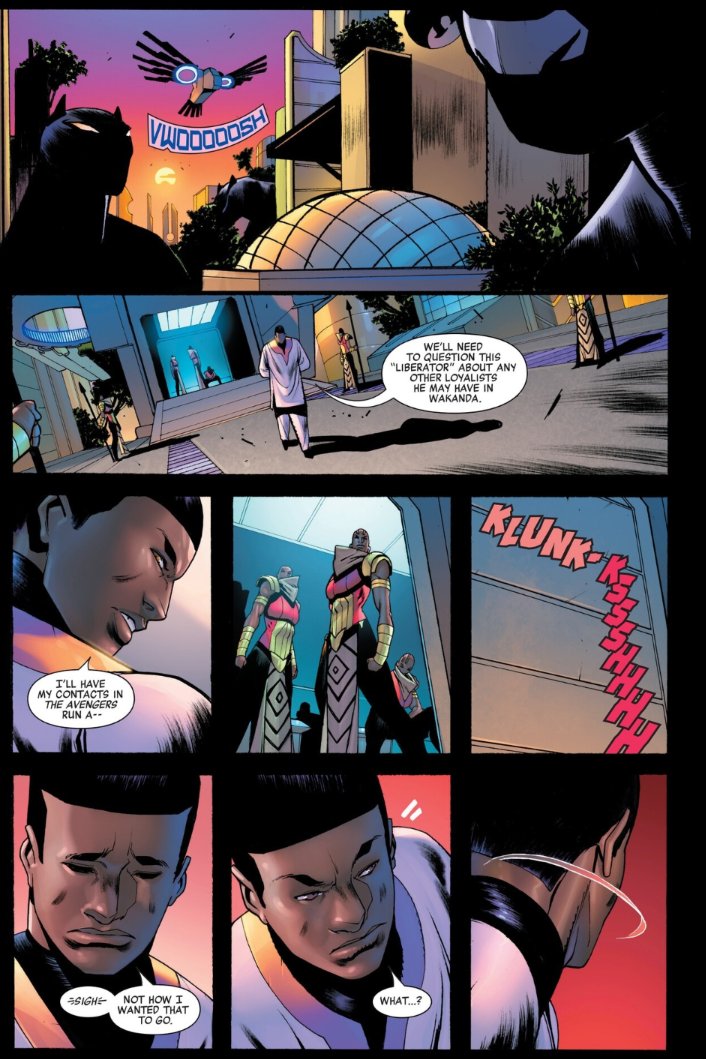 Adevvale's tweet photo. The scars of Ridley's run are felt all now lmao. Okoye and the Milaje not fucking with Big T at all. T'Challa's new cape absorbing even the sunlight is mad though. #BlackPantherSpoilers #BP #BPSpoilers https://t.co/HqlV6Jwmgp