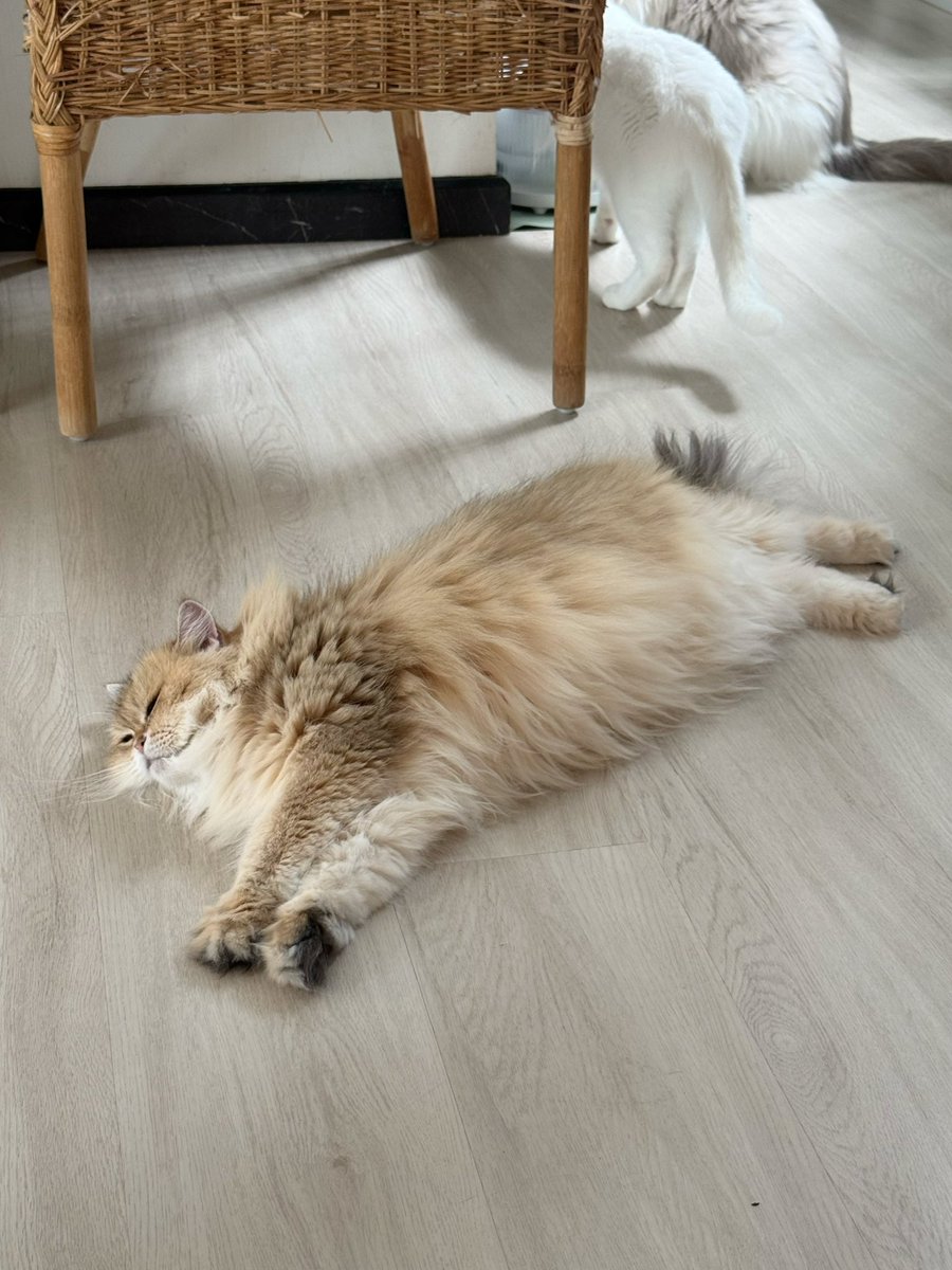 Bonusiie's tweet photo. เก้เหนื่อยค่ะ อยู่แต่กับพวกแงวไม่ปกติ เก้ท้อ https://t.co/UPVU4KPynW