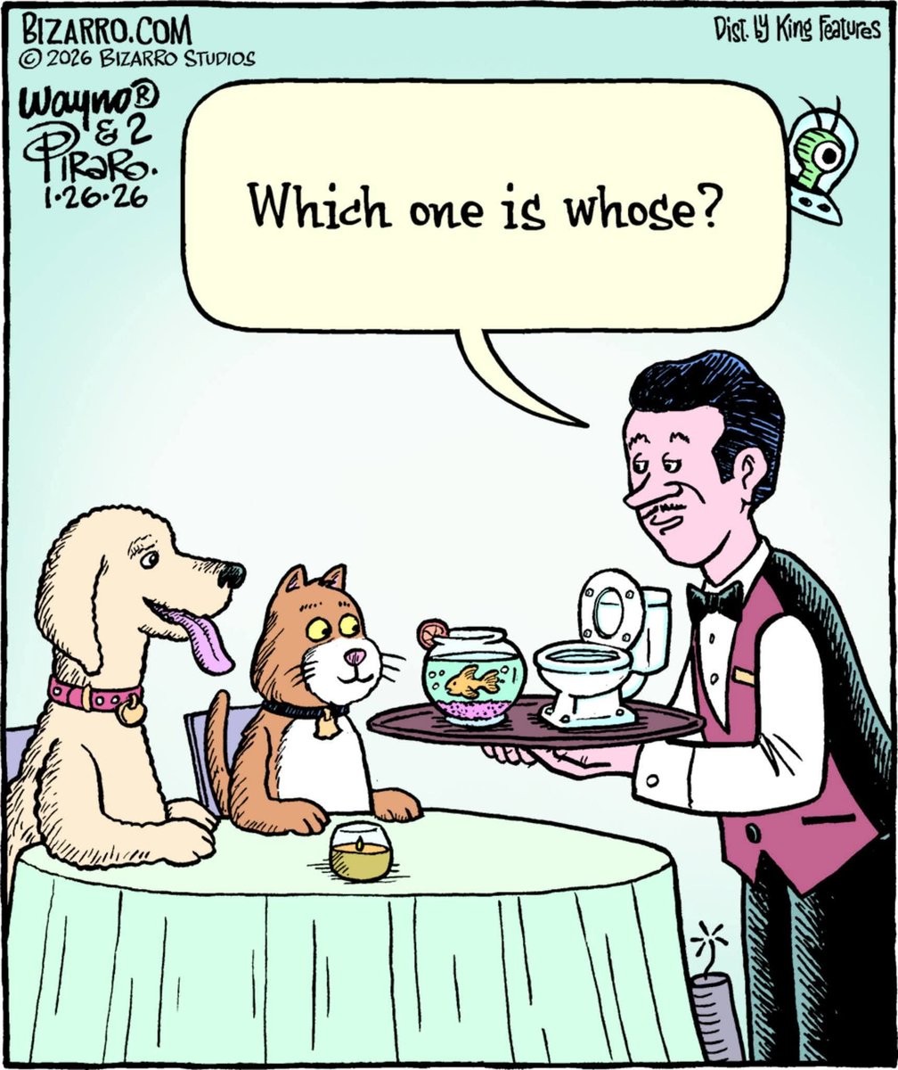 Georgemummysboy's tweet photo. 🤣😂🤣, 🐶😺 https://t.co/ntS2Zf7tLL