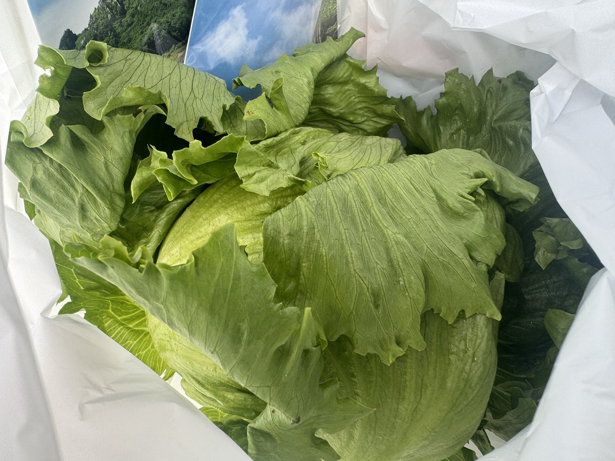 FcMachidaZelvia's tweet photo. 🔷川上村名物レタス無料配布🥬✨
先着1,600名様へ無料配布中🎁

📍ゼルビーランド

詳細は👇
https://t.co/ncYkmEIzes

#FC町田ゼルビア #zelvia https://t.co/c5jJwmG25D