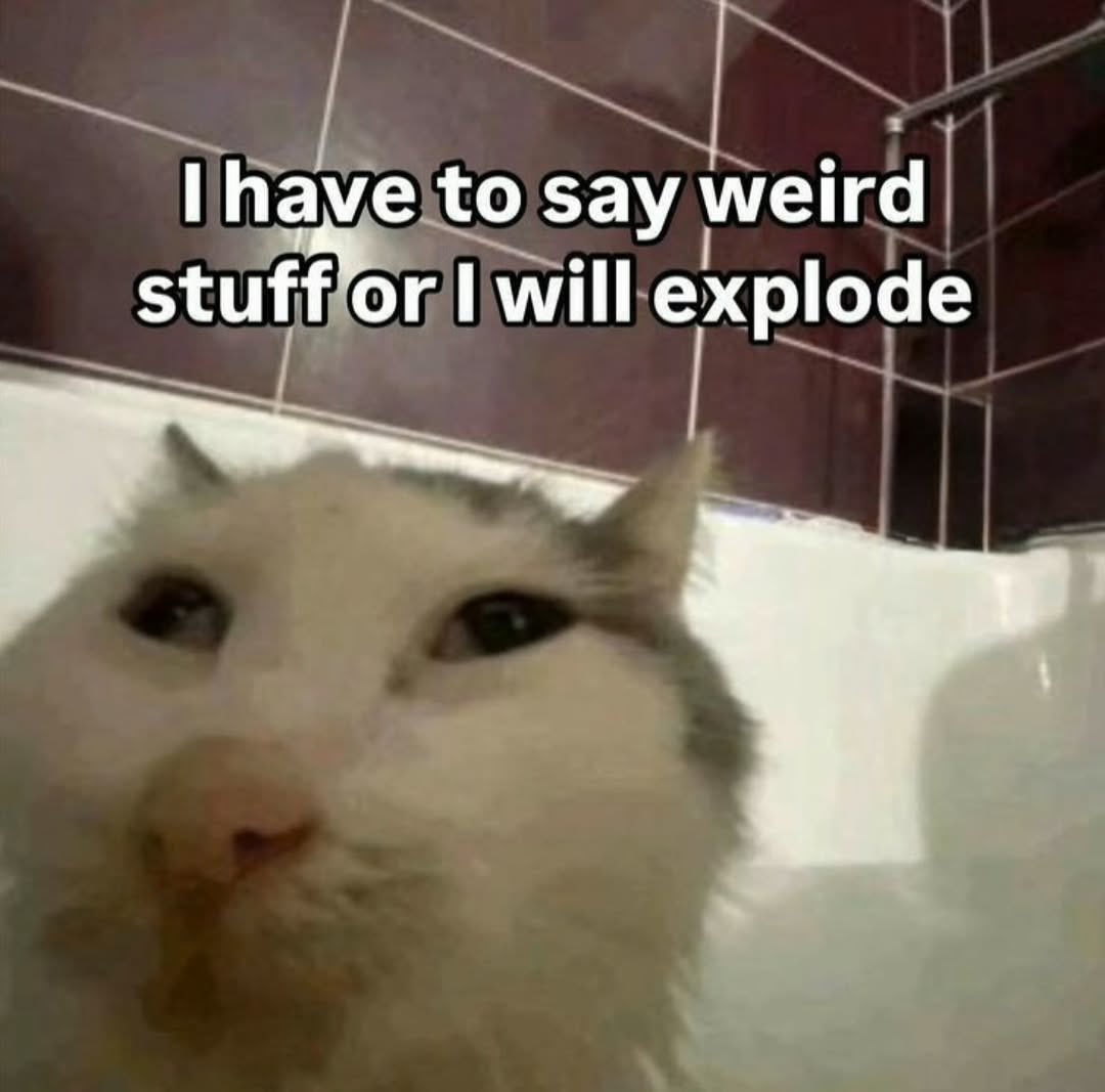 literallymecats's tweet photo. https://t.co/5Po0xtXH7b