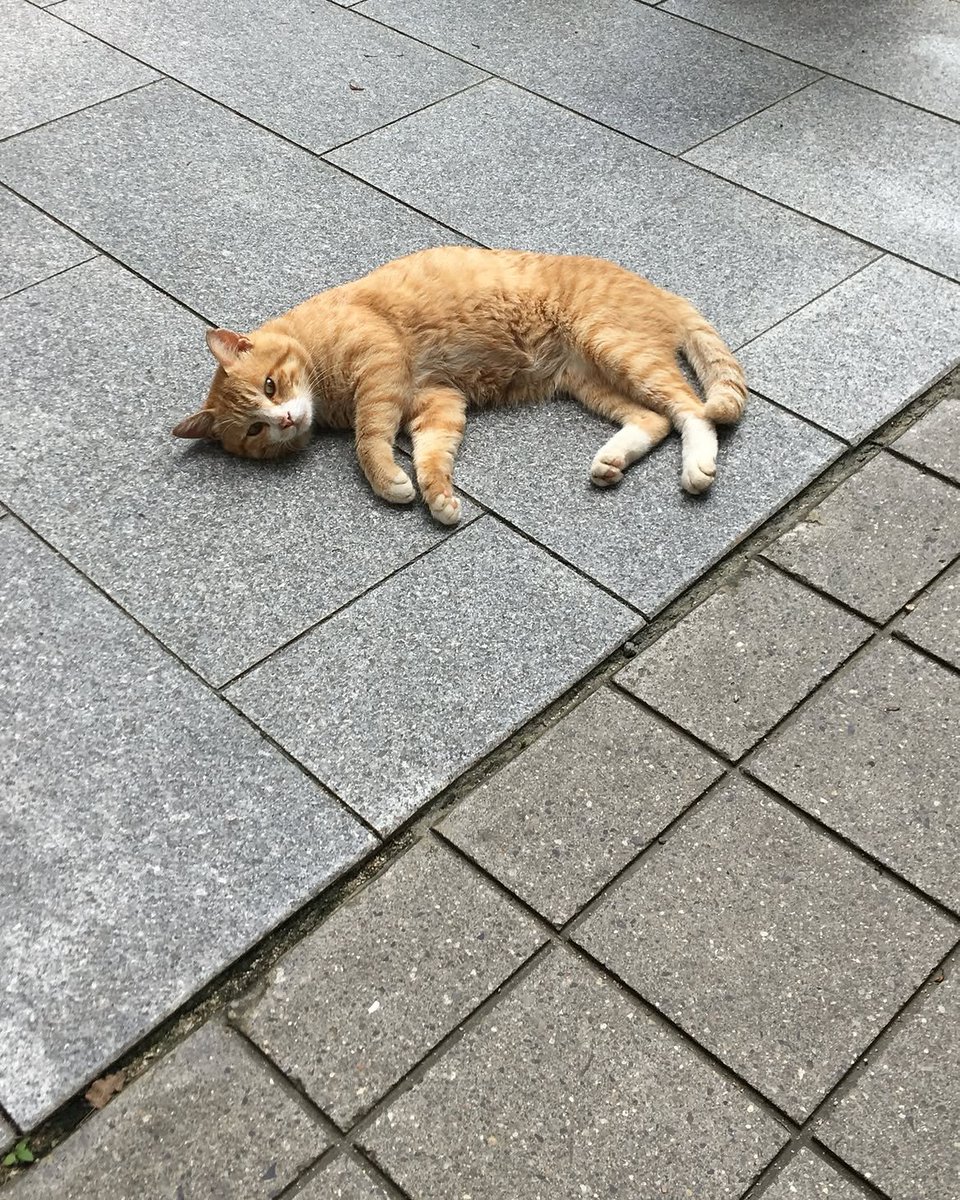 karinnyway's tweet photo. 260901 m1nkarin 인스타그램 #민가린 #가린 

🍃 https://t.co/vTwZsQy3F8