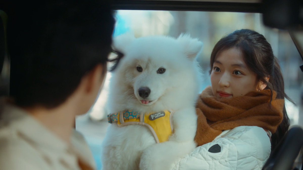gongjicheoIs's tweet photo. Imagine not liking a cute dog that your equally cute gf rescued https://t.co/1w9QMbvg7x