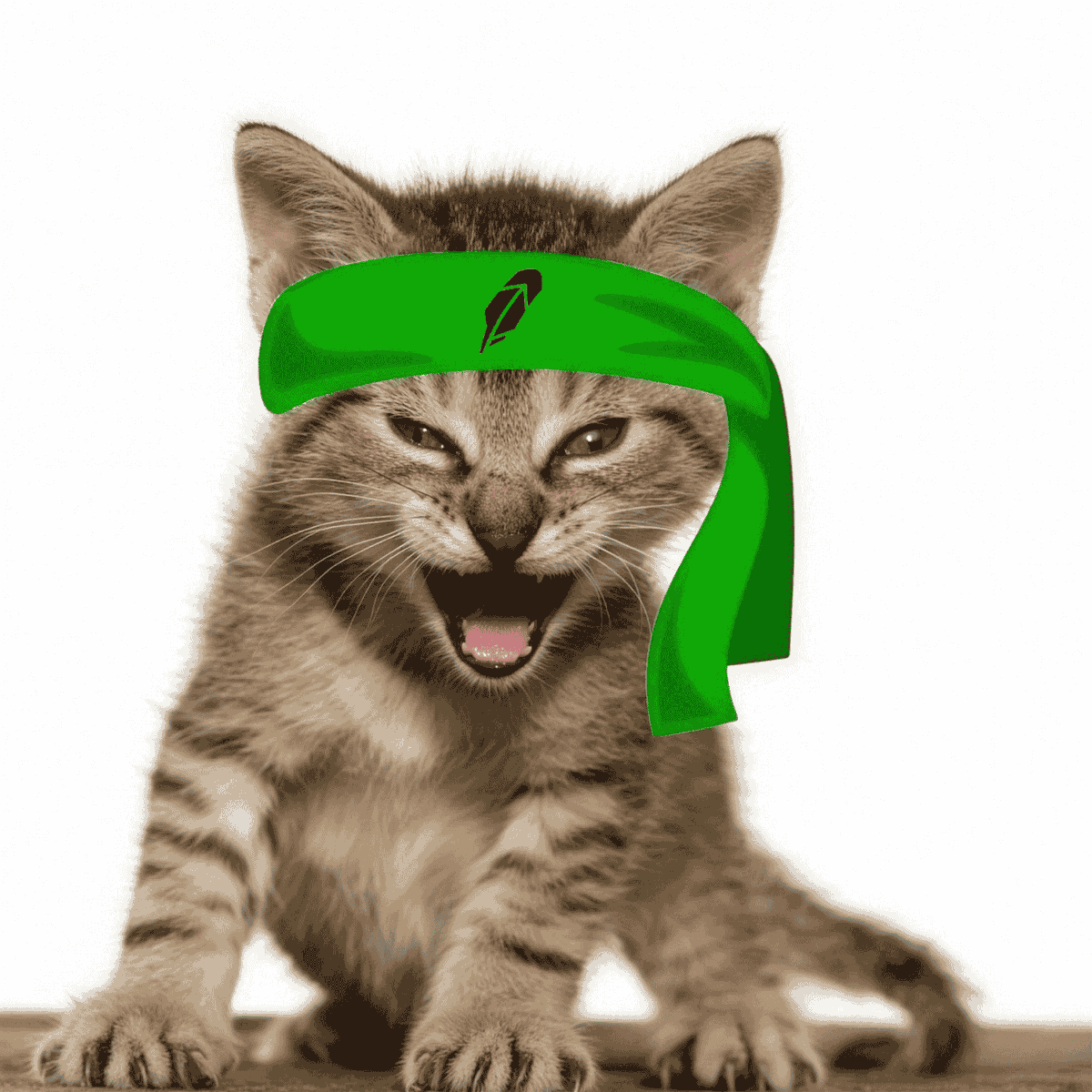 lilbub_rh's tweet photo. The Roaring solana:4N4DnNo3qpPks9aQCkcWkzoir8tnvT6diS4TnnZibonk is officially live!  

CA: 0x96F10D7A43639B9c7e09aee5304C406670289aB4  

Roaring Kitty is the first cat with $GME pair on RobinHood chain, launched on PONS launchpad.  

Simply hold solana:4N4DnNo3qpPks9aQCkcWkzoir8tnvT6diS4TnnZibonk and earn free $GME airdropped straight into your wallet without claiming.

Website: https://t.co/QqIIQjwdnx