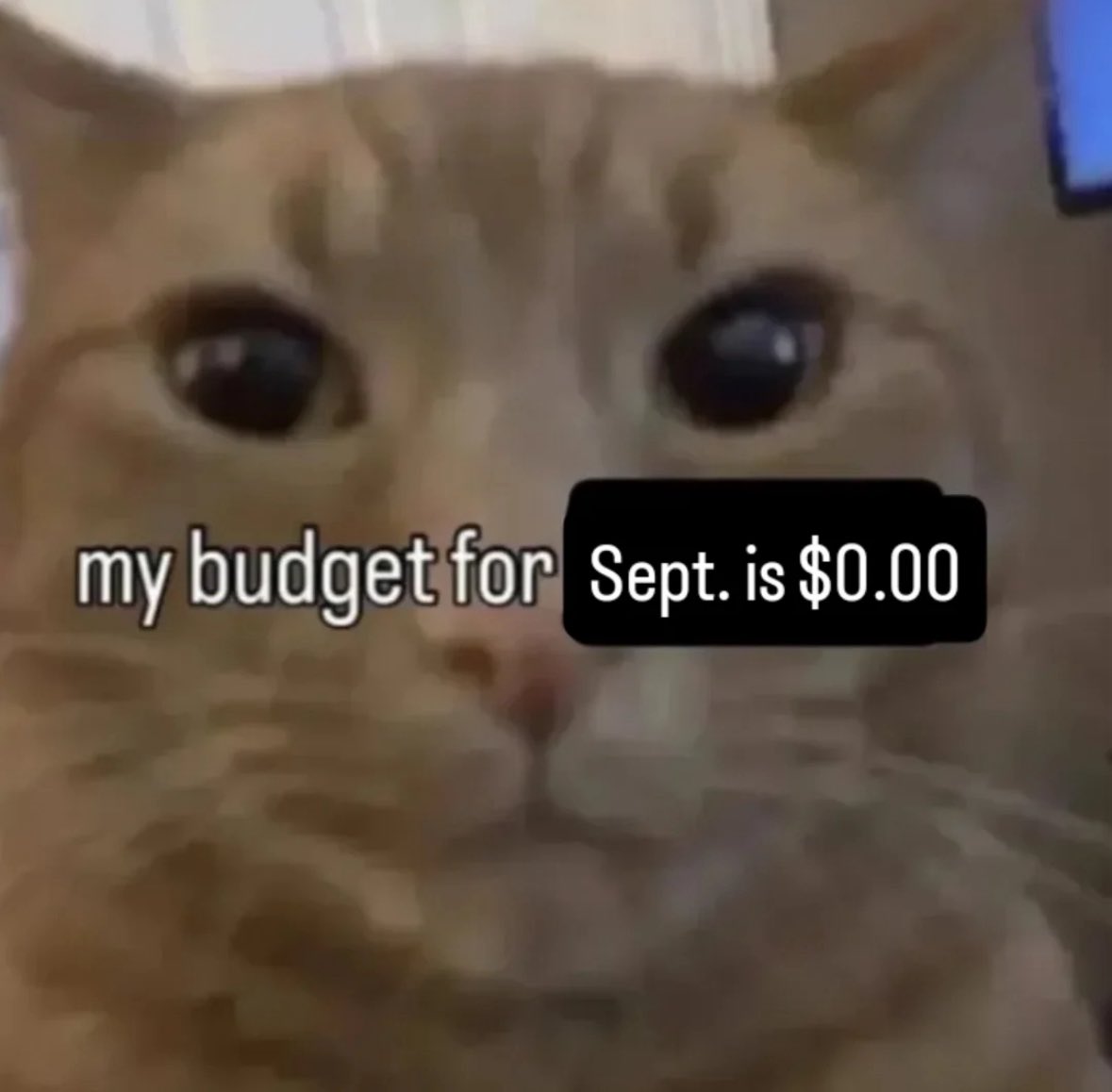 literallymecats's tweet photo. https://t.co/T2aviZbIFl