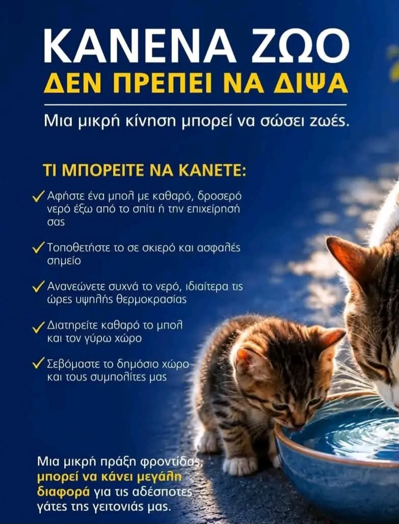 DEMAGRI7's tweet photo. Νεράκι για τις ψυχούλες 🐕🐕🐕🐕🐕🐕🐕🐕🐕‍🦺🐕‍🦺🐕‍🦺🐕‍🦺🐕‍🦺🐕‍🦺🐕‍🦺🐕‍🦺🐕‍🦺🐈🐈🐈🐈🐈🐈🐈🐈🐈‍⬛🐈‍⬛🐈‍⬛🐈‍⬛🐈‍⬛🐈‍⬛🐴🐴🐴🐴🐴🐴🐴🫏🫏🫏🫏🫏🫏🫏🫏🐎🐎🐎🐎🐎🐎🦔🦔🦔🦔🐦🐦🐦🐦🦤🦤🦤🦤🦤🦤🐦‍⬛🐦‍⬛🐦‍⬛🐦‍⬛🐦‍⬛🐦‍⬛🐢🐢🐢🐢🐢🦋🦋🦋🐝🐝🐝🐝🐝🐝🐝🐞🐞🐞🐞❤️❤️❤️❤️❤️❤️❤️❤️❤️❤️❤️❤️❤️❤️❤️❤️❤️❤️❤️❤️❤️❤️❤️❤️❤️❤️❤️❤️❤️❤️❤️❤️❤️❤️❤️❤️❤️ https://t.co/3UJ2Jnudhn