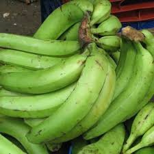 DedayoRoots's tweet photo. You need 4 THINGS REPAIRING your GUT LINING RIGHT NOW, not after the bloating becomes chronic:

1. Ọ̀gẹ̀dẹ̀ wéwé (unripe plantain) resistant starch feeding the right bacteria

2. Ẹfìrin (scent leaf) eugenol calms inflamed gut tissue your antacid only masks

👇🏾 https://t.co/ZuQ3SaKAOT