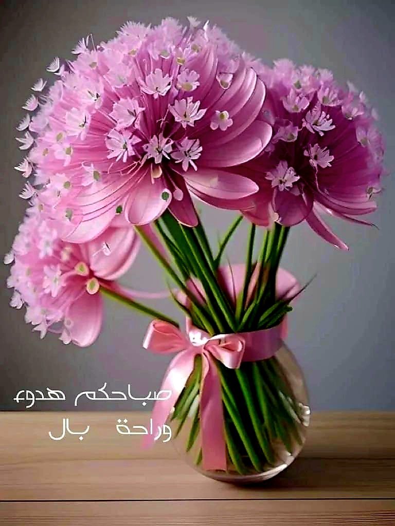 RASHADHAME86655's tweet photo. @najla0p https://t.co/COvcXwaSnT