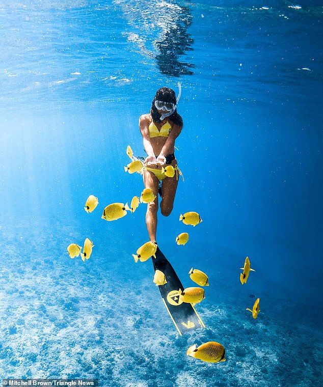 CalebrCCummiWnp's tweet photo. تذكير لطيف: 🌊 لا يمكن تحقيق أي مكاسب دون 🔍 المخاطرة بالمحاولة أولاً. Mia Adams https://t.co/ckJOX4iau6