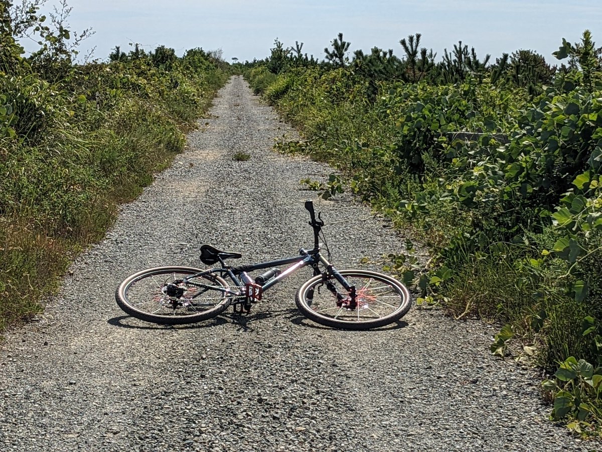 seo_HM2's tweet photo. まだまだ暑い日が続きますね、秋のサイクリングに向けて準備して行きます！ https://t.co/SQXhLQyN2G