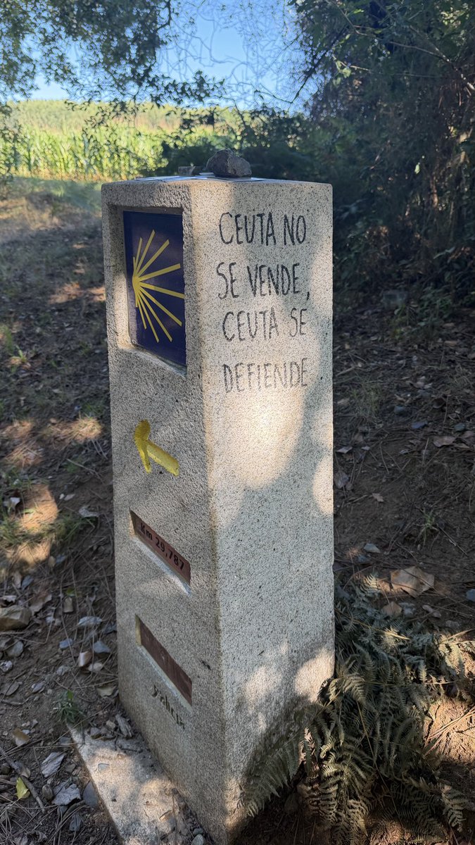 19Varo95's tweet photo. Desde Galicia, el pueblo unido jamás será vencido. #CeutaEsEspaña #ceuta #CeutaNoEstáSola #CeutaNoSeRinde https://t.co/dMbSskUkpU