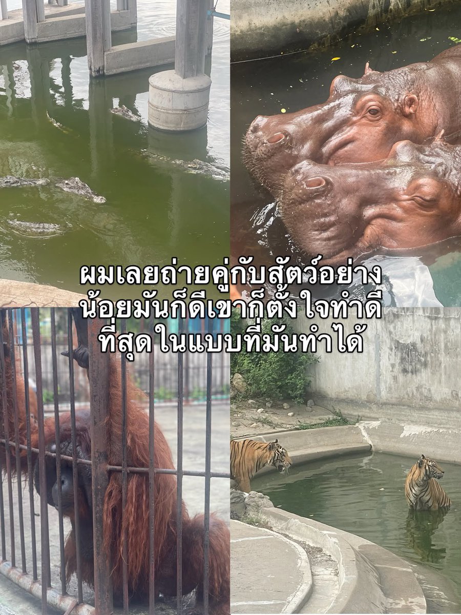 PastelLifeLines's tweet photo. มีดราม่า ไม่มีใครไปดู…ก็เลยอยากมาบอกต่อว่ามันน่าไปมากนะทุกคน คนไทยไปเที่ยวไทยกันเยอะๆนะ

Cr. Nokia_fernlee https://t.co/4buNm2364N