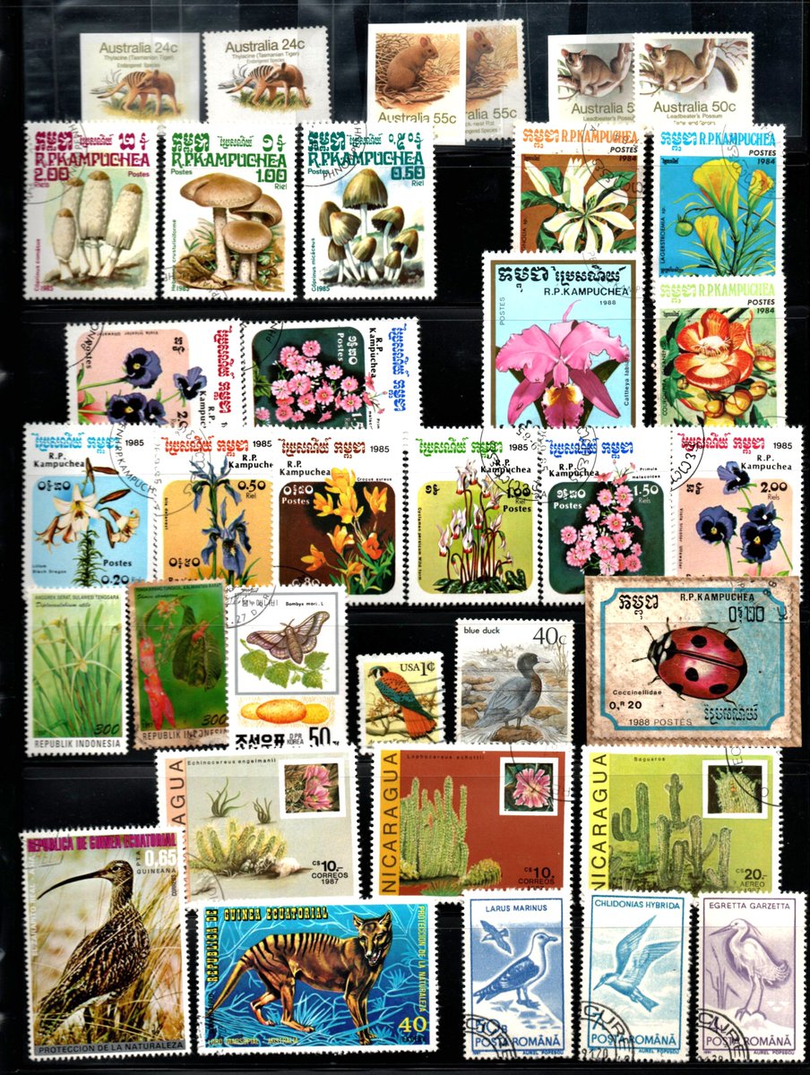 alwansyaah's tweet photo. naturalist stamp collection https://t.co/iygPabSH0y