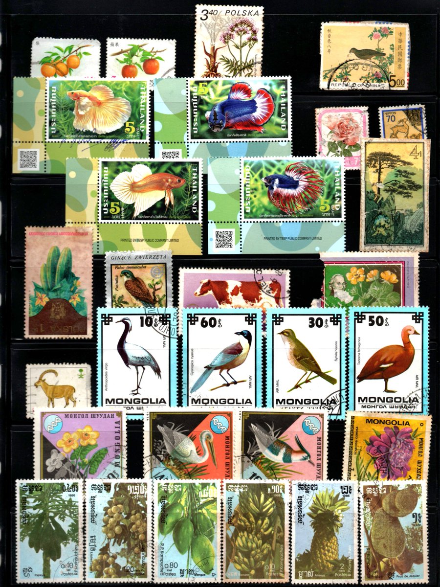 alwansyaah's tweet photo. naturalist stamp collection https://t.co/iygPabSH0y