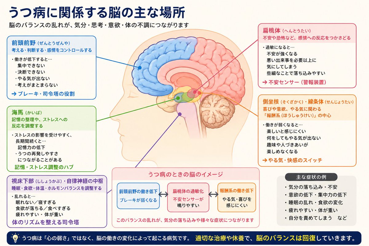 Craft_Nagi's tweet photo. うつ病の 脳

いろんな症状に苦しむはずだね… https://t.co/d2GYKpVFjn