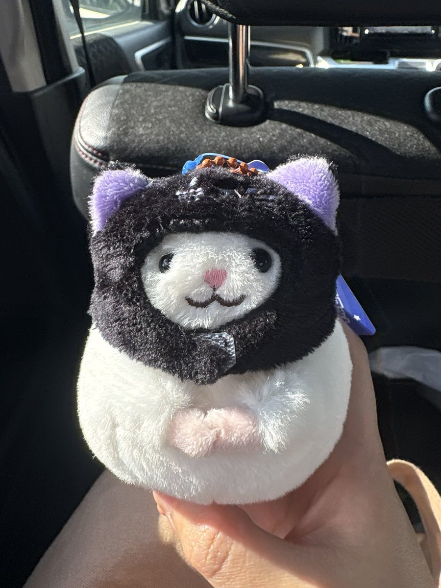 himeringo_'s tweet photo. KALDIのチンチラ、3件まわってラストワンだったこの子を縁あって連れて帰ることができました！

在庫確認の電話をして30分も経ってないのに次々に売れていったらしくて、たくさんのすれ違う店員さんから「残り1個でしたよ☺️」「良かったですね💕」と祝福���れてKALDIを旅立ち、おうちに連れて帰ります🚗 https://t.co/piHXys3n7H