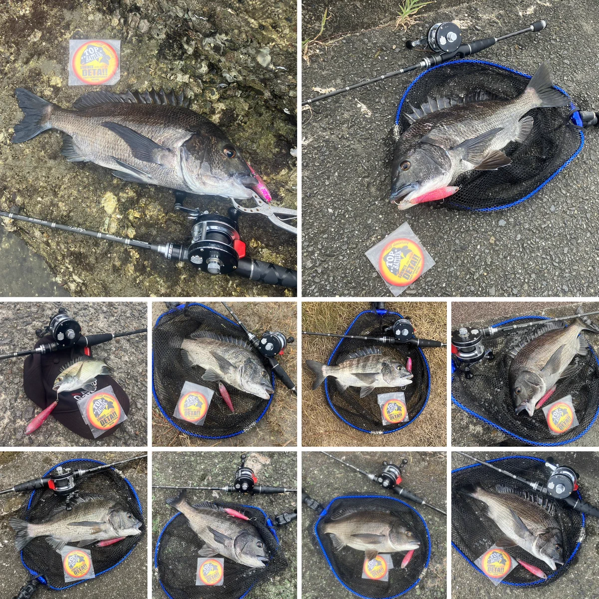 Reposts by DAIWA SW Fishing Shore (@d_sw_shore) / X