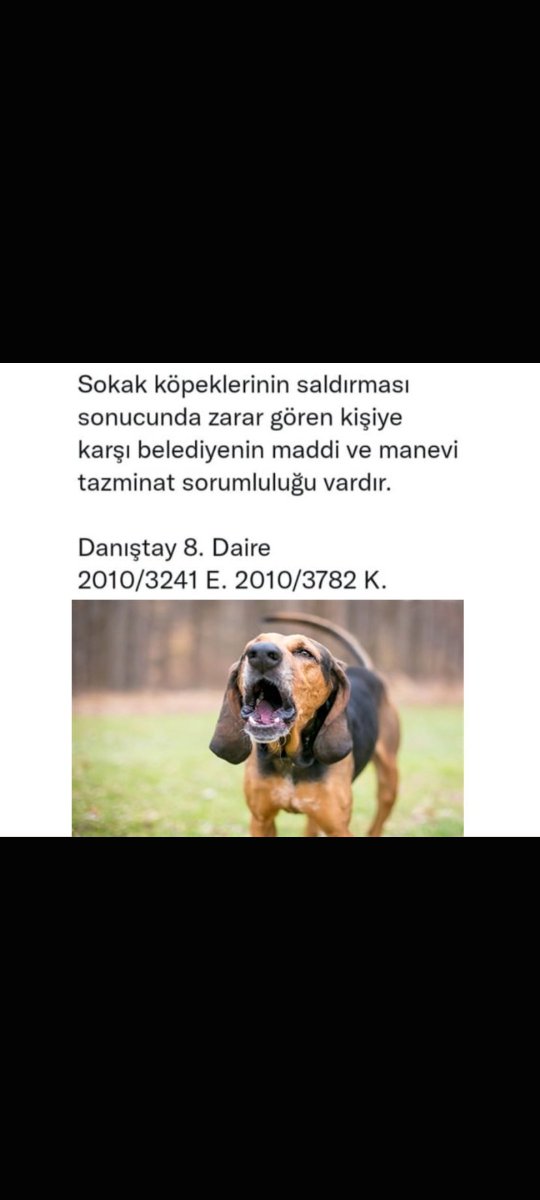 sibelsi11's tweet photo. @BerkEfe7k https://t.co/zAIc3NlXDr