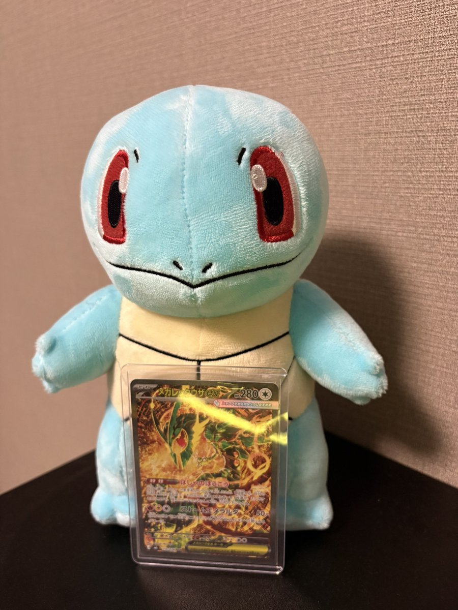 SQNYD_'s tweet photo. あ、そういえば今日メガレックウザ自引きしたんだった https://t.co/kg2pfsJXMw