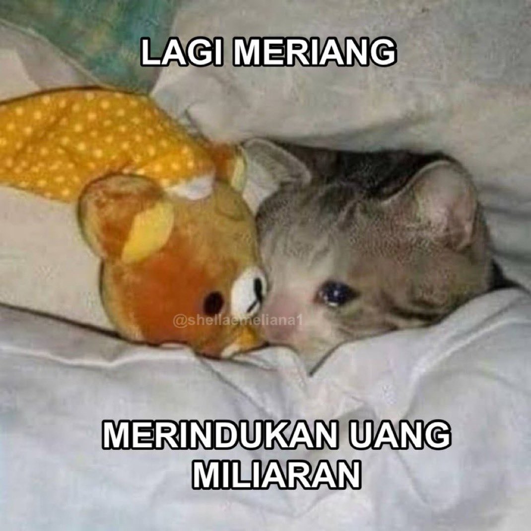 Shellaemeliana1's tweet photo. https://t.co/WBUY0AM5Nq