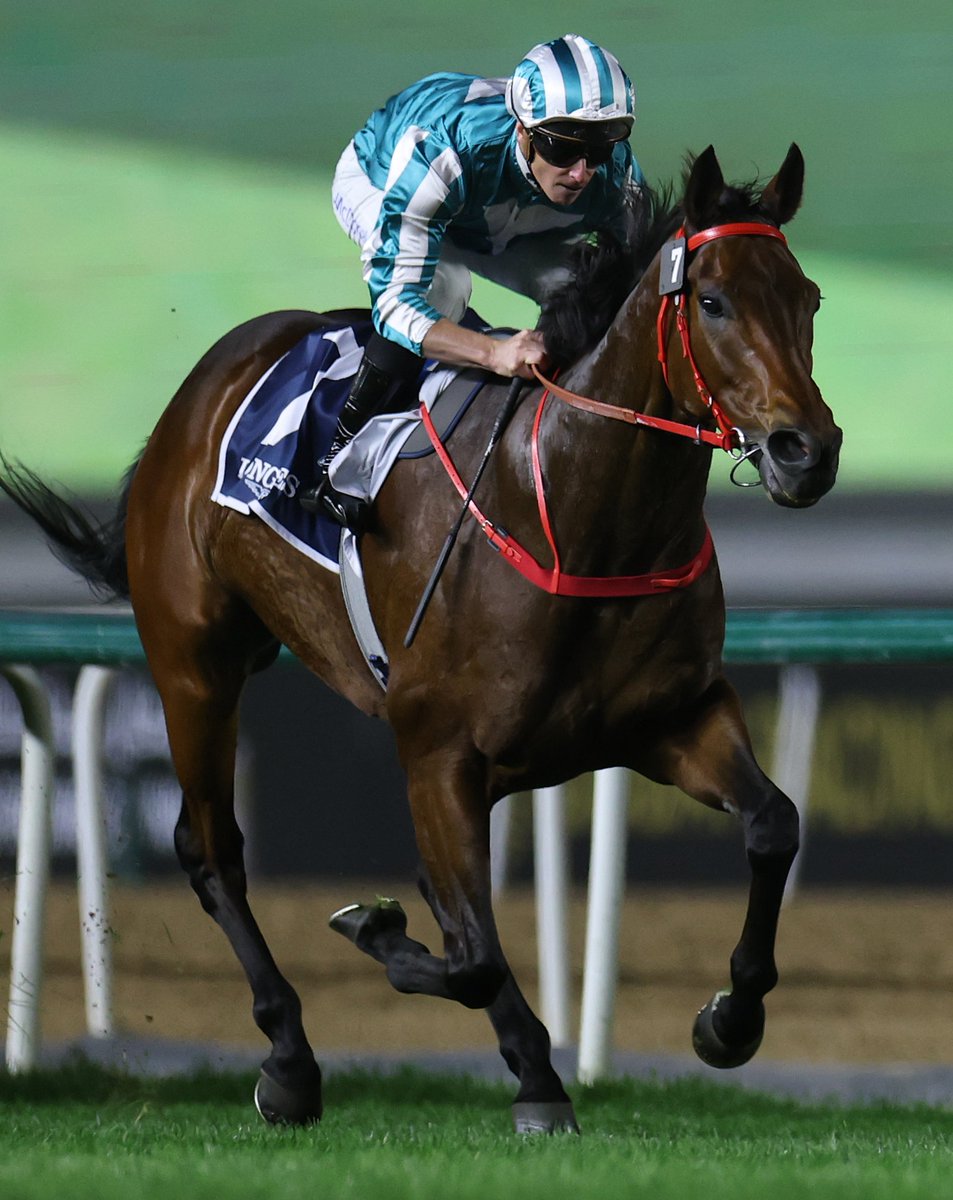 RacingPost's tweet photo. 🩵 ROMANTIC WARRIOR 🩵

🏆 Cox Plate (G1) 🇦🇺
🏆 Yasuda Kinen (G1) 🇯🇵
🏆 Jebel Hatta (G1) 🇦🇪
🏆🏆🏆🏆 Hong Kong Cup (G1) 🇭🇰
🏆🏆🏆🏆 QEII Cup (G1) 🇭🇰
🏆🏆 Hong Kong Gold Cup (G1) 🇭🇰
🏆 The Stewards' Cup (G1) 🇭🇰
🏆 Champions &amp; Chater Cup (G1) 🇭🇰
🏆🏆🏆 Jockey Club Cup (G2) 🇭🇰 https://t.co/1YQUG5P0Ox