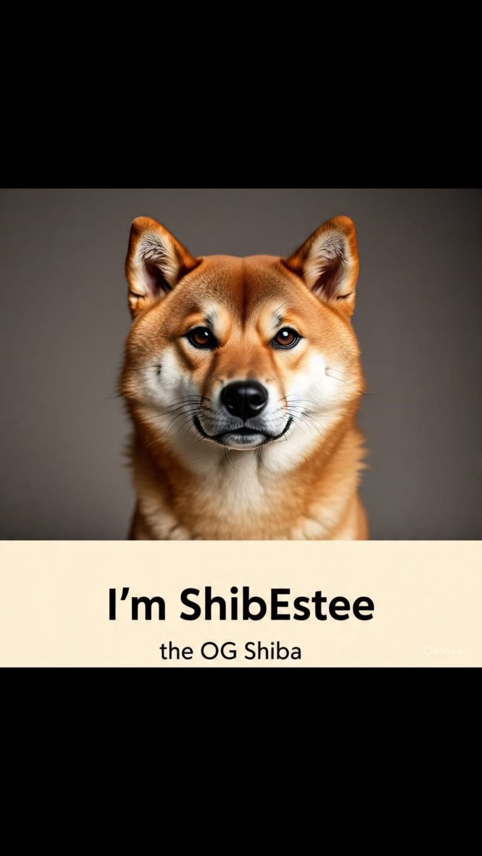 CHUNGKAI10's tweet photo. Good morning Shib Estee army 

Let's go harder on our shilling 

100 days shilling completed 

Day 196

$ShibEstee
We'll keep shilling until we make it https://t.co/5FkkoNvCeS