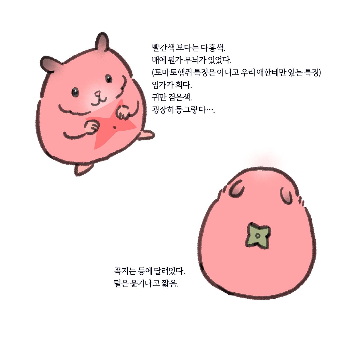 char_tick tweet picture