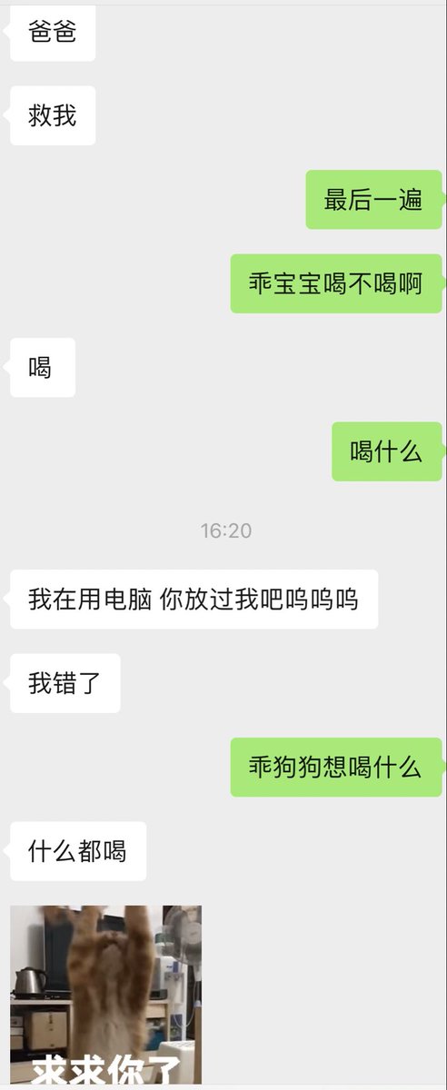 KoooMarkG's tweet photo. 小狗最近的推火了一波，兴致勃勃跑来讨赏，回想了一下距离最初确实变化很大，略感欣慰之外更多觉得有趣。
一开始：啊啊啊救命我不要喝圣水
现在：爸爸给我打包带走路上喝 https://t.co/PMmYzMDl3c