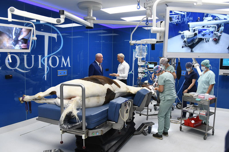 USAmbToBelgium's tweet photo. Wonderful to visit @Equitom1 and the Equine Care Group headquarters in Lummen, Belgium, where Bryan and I were warmly welcomed by Dr. Tom Mariën for a tour of their impressive facility. 🐴🇧🇪
We joined ECG's shareholders and management team to discuss their U.S. growth strategy — including their April expansion into Texas through a partnership with Salado Equine Medical Center. This partnership is accelerating cross-border collaboration and innovation while building a truly transatlantic, veterinarian-led network. 🌍🐎
The Embassy is proud to support this growth through the U.S. Department of Commerce's @SelectUSA program — helping companies like ECG navigate regulatory pathways and connect with economic development authorities as they scale in the U.S. market.
Here's to more transatlantic collaboration ahead! 🇺🇸🇧🇪