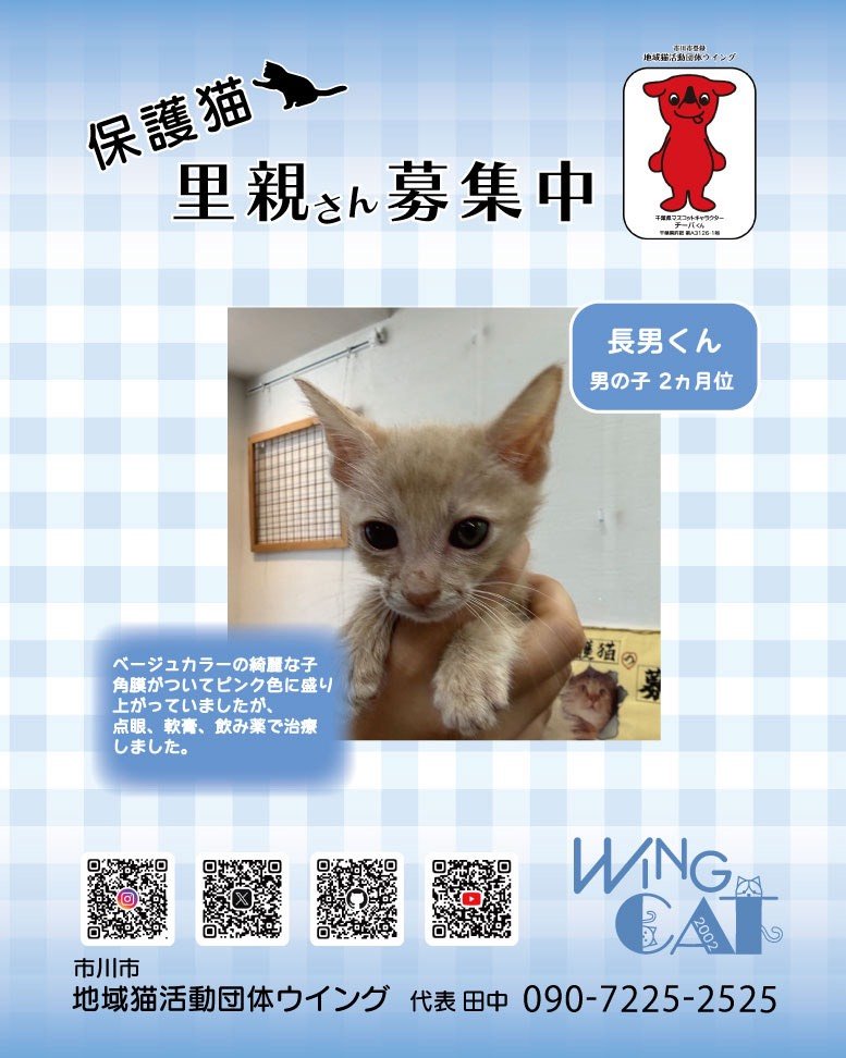 wingcat2002's tweet photo. @housekibako_yi https://t.co/FyfFhVca4o
