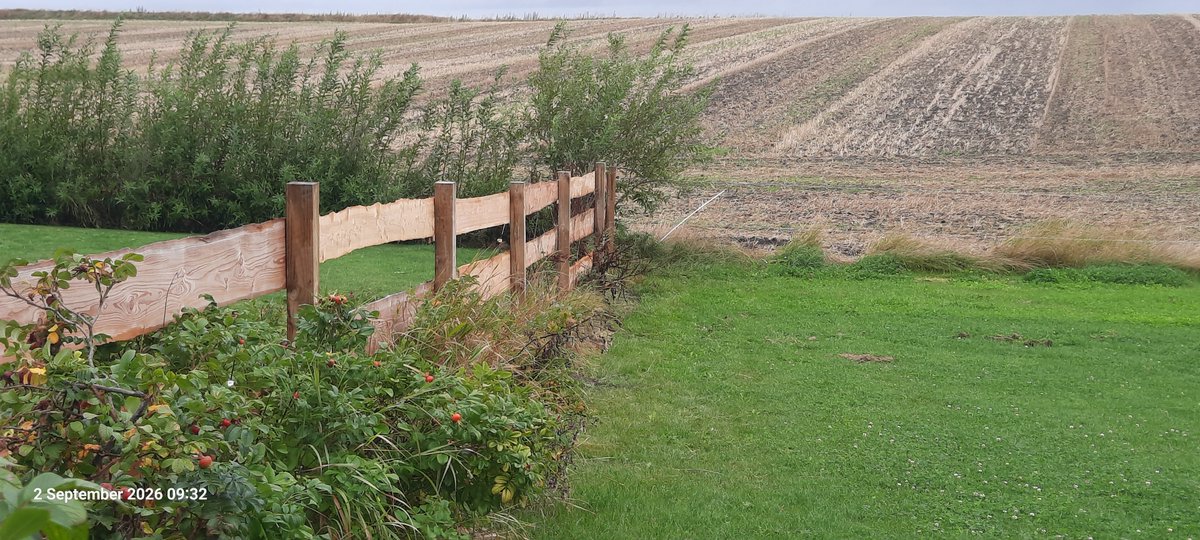 Ovenpaa's tweet photo. The last of this years wooden fence. We finished it between rain showers. 

Something is dropping sizable sticks on the grass. 2.5' long X my thumb diameter. It is the wrong time of year for the Eagles to be nesting, and too far from our trees to be wind damage.  Very strange. https://t.co/9G0CHwOulX