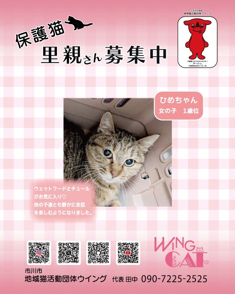 wingcat2002's tweet photo. @housekibako_yi https://t.co/NJc9evJMk9