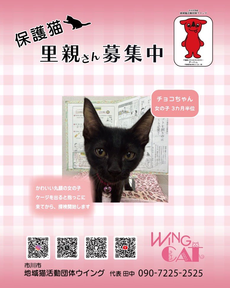 wingcat2002's tweet photo. @housekibako_yi https://t.co/NJc9evJMk9