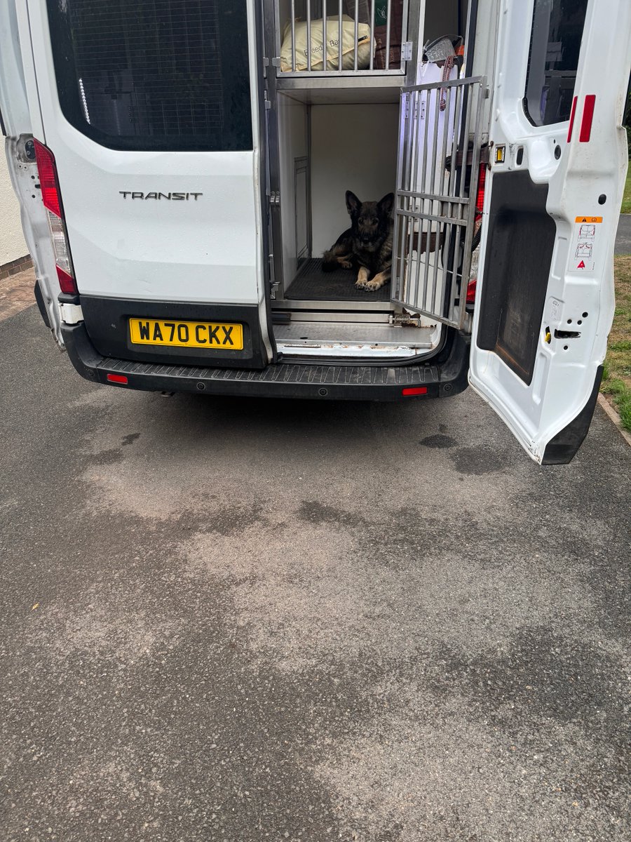 DC_PoliceDogs's tweet photo. Ella, TPD Ronnie and I have had an early morning walk, some training with TPD Ronnie, breakfast and now off to the Force Police dog trials. TPD Ronnie is charging around the garden with his toy &amp; Ella is not leaving the van to make sure she doesn’t get left behind. ❤️ https://t.co/jsMVQ7NZAY