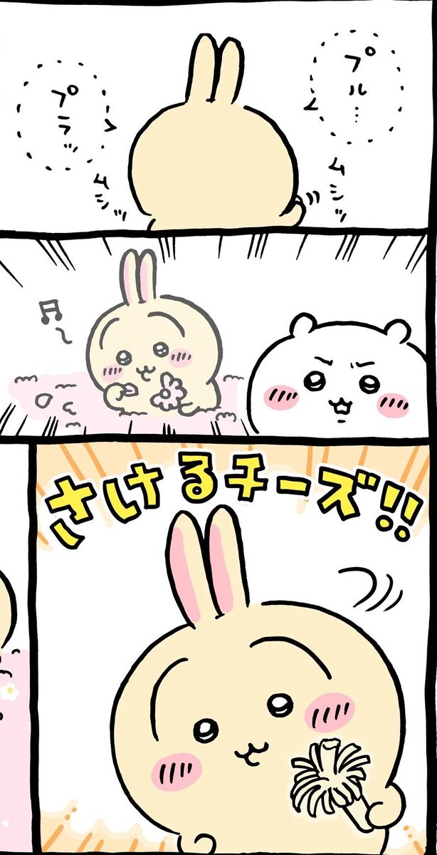 rakkodoidoi's tweet photo. 치이 상상 속 우사기 초롱초롱눈 보실 분
치이 필터 들어간 거 같아서 웃김(P)

와아 꽃점 치고 있나봐!! 하면서
놀래켜주려고 살금. 살금. 뒤에서 다가가는데 

우사기가 하고 있던 것: 치즈 찢기 https://t.co/CbT7xi1N0O