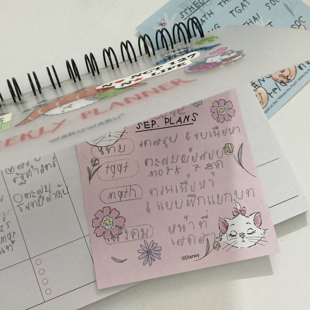 sellonkitty's tweet photo. Hal๋o Septembe๋r 🔆💮🩵
เดือนนี้จะเปนเดือนที่ชันลองจัดตารางอนส.ดูหลังจากที่อ่านตามใจมานาน 🤧+ (ต้อง)เริ่มจดสรุปสังคมแร่วนะ  ผัดมานาน  จาwrap upภาษาไทยให้จบด้วย🙈🎐👐🏻 สุ้ต่อไปวัยรุ่น👼🏼🪽 https://t.co/LYAr5oA0nf